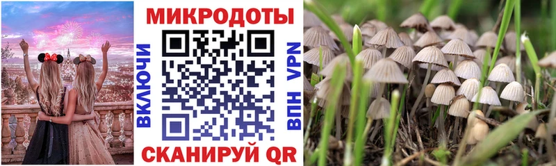 ОМГ ОМГ ссылка  Тихвин  Галлюциногенные грибы прущие грибы 