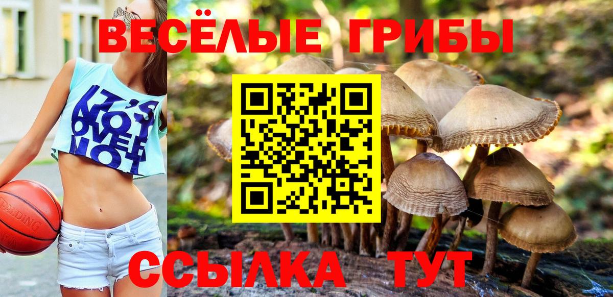 Галлюциногенные грибы ЛСД  Вход с VPN  Псилоцибиновые грибы прущие грибы  Тихвин 